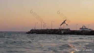 慢动作镜头的海鸥飞过海浪的海日落海洋场景与码头和岩石码头